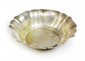 Paterka srebrna